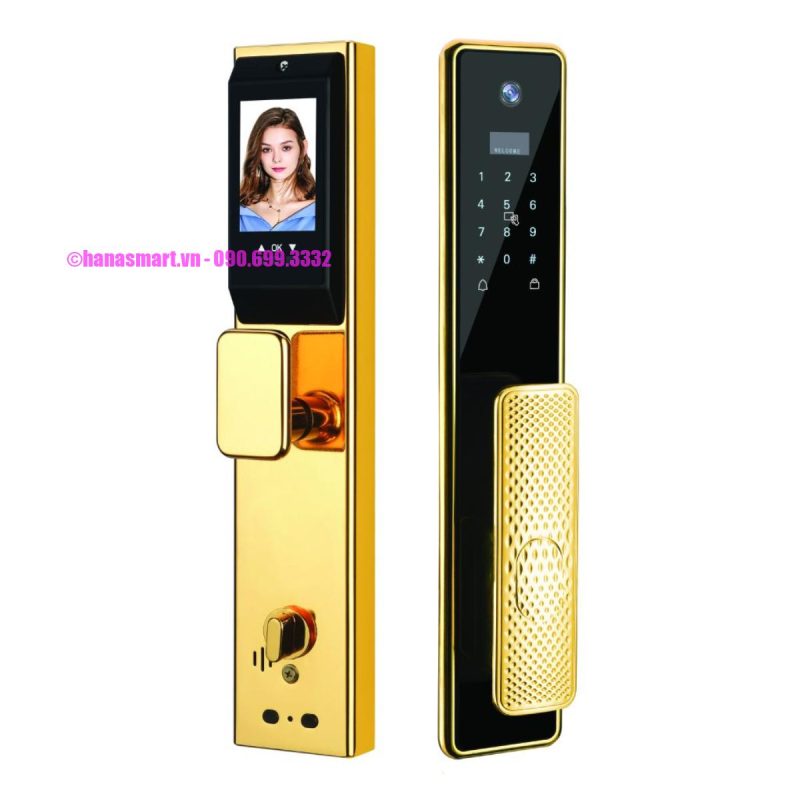 Khóa vân tay cửa gỗ HUBERT HB CG99 GOLD 24K