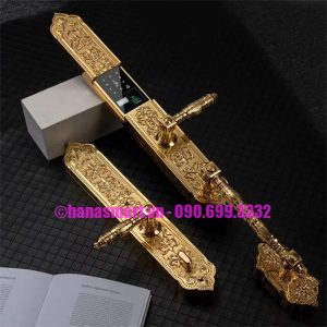 Khóa Vân Tay Đại Sảnh HUBERT HB DSI8 EU GOLD 24K