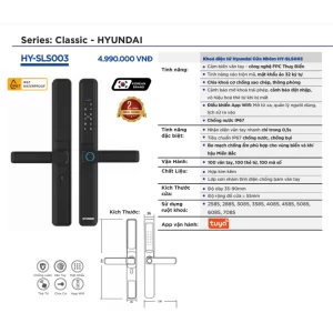 Khóa điện tử cửa cổng HYUNDAI HY-SLS003