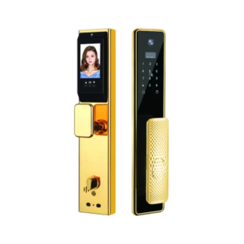 Khóa vân tay cửa gỗ HUBERT HB CG99 GOLD 24K tiêu chuẩn Đức - Khoa van tay cua go HUBERT HB CG99 GOLD 24K