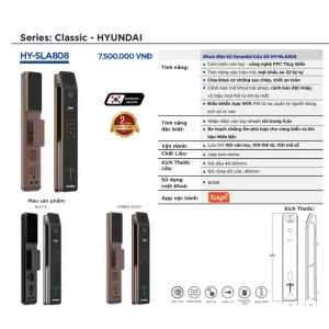 Khóa vân tay cửa gỗ HYUNDAI HY-SLA808 Black