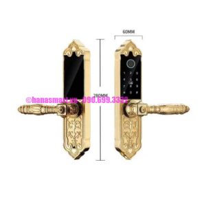 Khóa vân tay đại sảnh HUBERT HB DS79 GOLD MINI