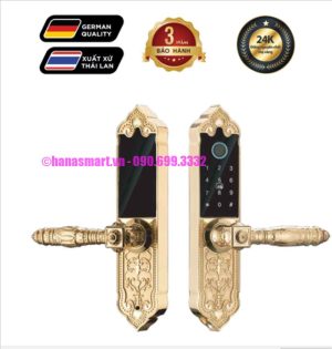 Khóa vân tay đại sảnh HUBERT HB DS79 GOLD MINI