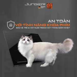 Bếp điện từ ba JUNGER CEJ-300-IIF