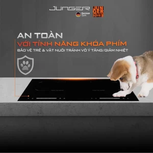 Bếp điện từ đôi JUNGER CEJ-202-II