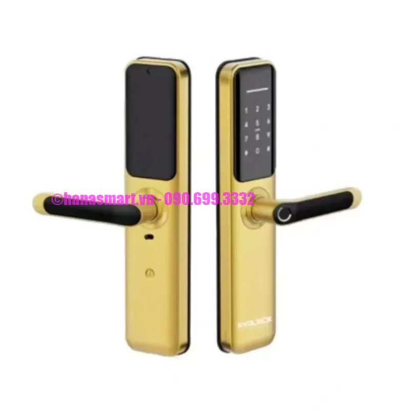 Khóa vân tay cửa gỗ AVOLOCK AV 63 GOLD