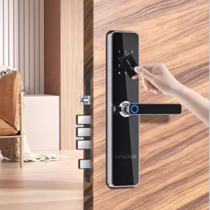 Khóa vân tay cửa gỗ AVOLOCK AV-69-IN