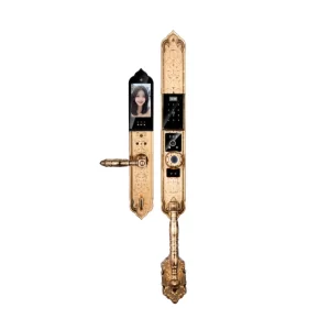 Khóa vân tay đại sảnh AVOLOCK AC-997F-G