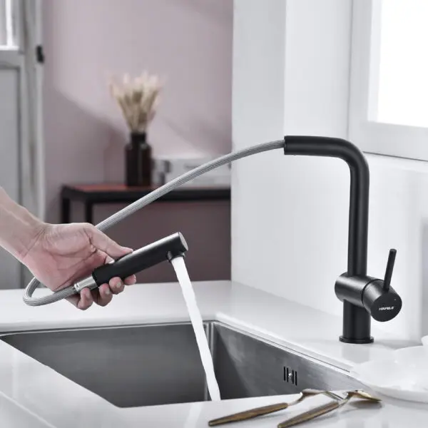 VÒI RỬA CHÉN HT21-GH1P254 HAFELE 577.55.390 32 VÒI RỬA CHÉN HT21-GH1P254 HAFELE 577.55.390