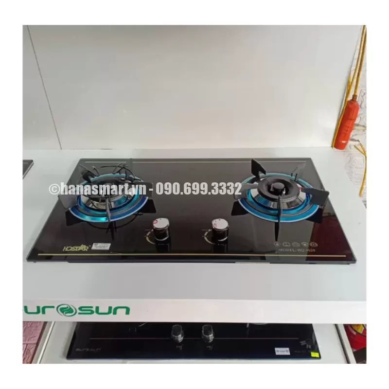 Bếp gas EUROSUN EU-GA205S