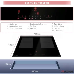 Bếp từ EUROSUN EU-T658Pro