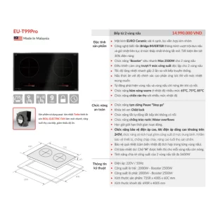 Bếp từ EUROSUN EU-T99Pro