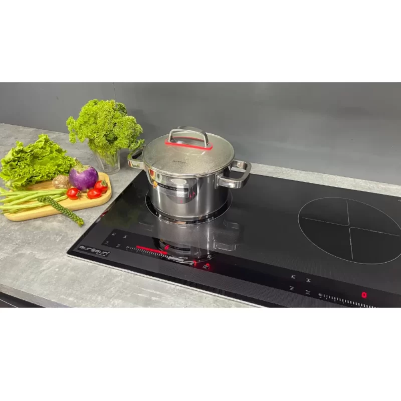 Bếp từ EUROSUN EU-T99Pro 31 Bếp từ EUROSUN EU-T99Pro
