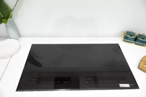 Bếp từ LORCA TA-1008 VN - 1008vn 1