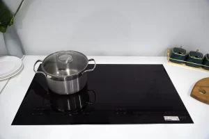 Bếp từ LORCA TA-1008 VN - 1008vn 2