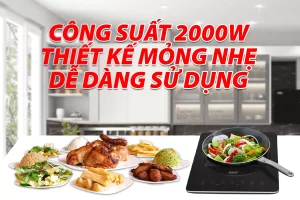 Bếp từ LORCA TA-1017 PLUS
