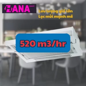 Máy hút mùi ELECTROLUX EFP6520X