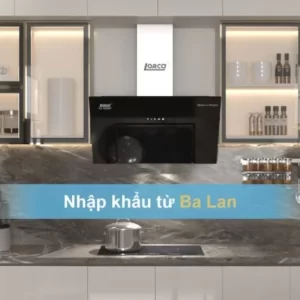 Máy hút mùi LORCA TA-6008P