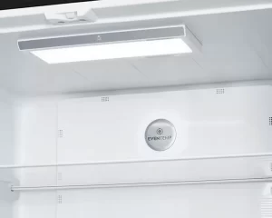 Tủ lạnh ELECTROLUX EQE4900A-A