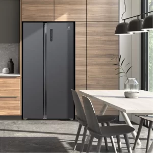 Tủ lạnh ELECTROLUX ESE5401A-BVN
