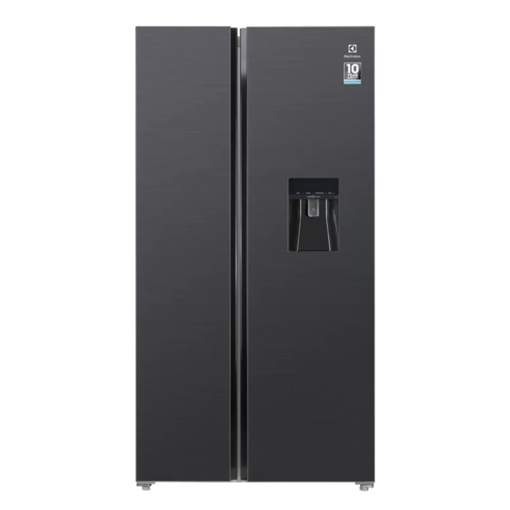 Tủ lạnh ELECTROLUX ESE6141A-BVN