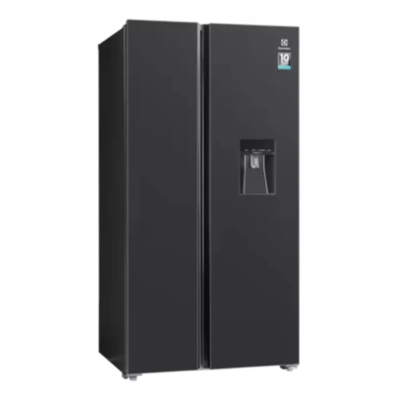 Tủ lạnh ELECTROLUX ESE6141A-BVN