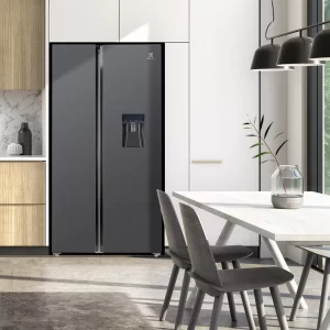 Tủ lạnh ELECTROLUX ESE6141A-BVN