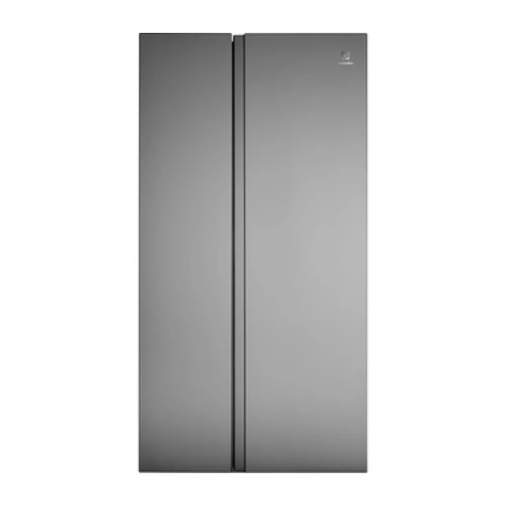 Tủ lạnh ELECTROLUX ESE6600A-AVN