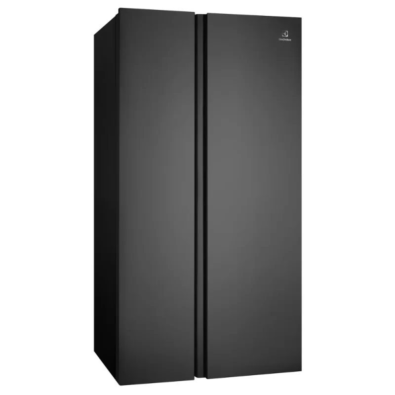 Tủ lạnh ELECTROLUX ESE6600A-BVN