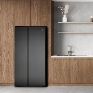 Tủ lạnh ELECTROLUX ESE6600A-BVN