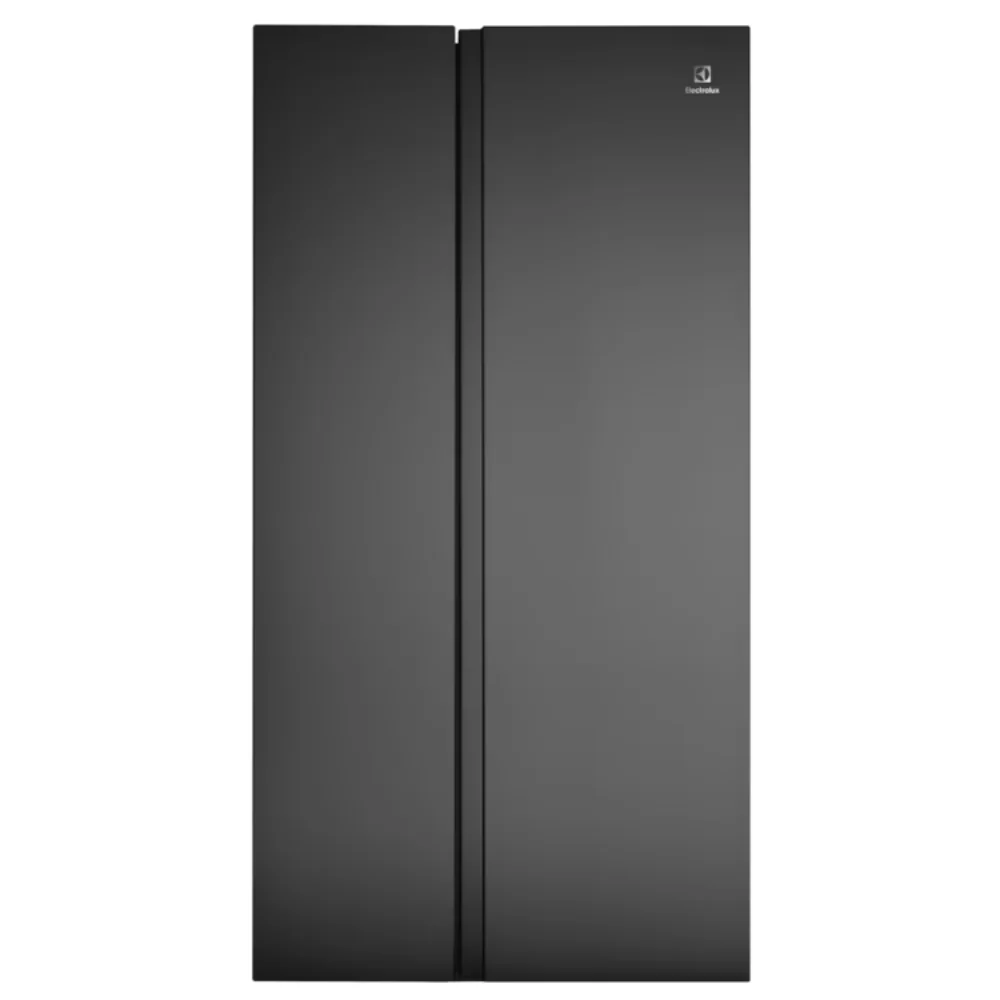 Tủ lạnh ELECTROLUX ESE6600A-BVN