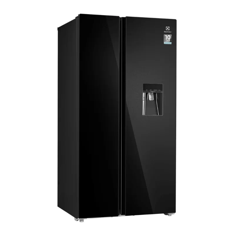 Tủ lạnh ELECTROLUX ESE6645A-BVN 13 Tủ lạnh ELECTROLUX ESE6645A-BVN