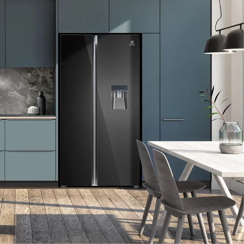 Tủ lạnh ELECTROLUX ESE6645A-BVN 12 Tủ lạnh ELECTROLUX ESE6645A-BVN