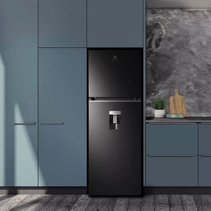 Tủ lạnh ELECTROLUX ETB3440K-H 12 Tủ lạnh ELECTROLUX ETB3440K-H