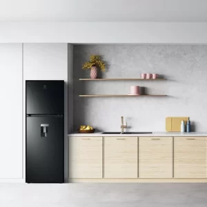 Tủ lạnh ELECTROLUX ETB3440M-H
