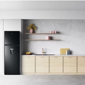 Tủ lạnh ELECTROLUX ETB3740M-H - Tu lanh ELECTROLUX ETB3740M H 5