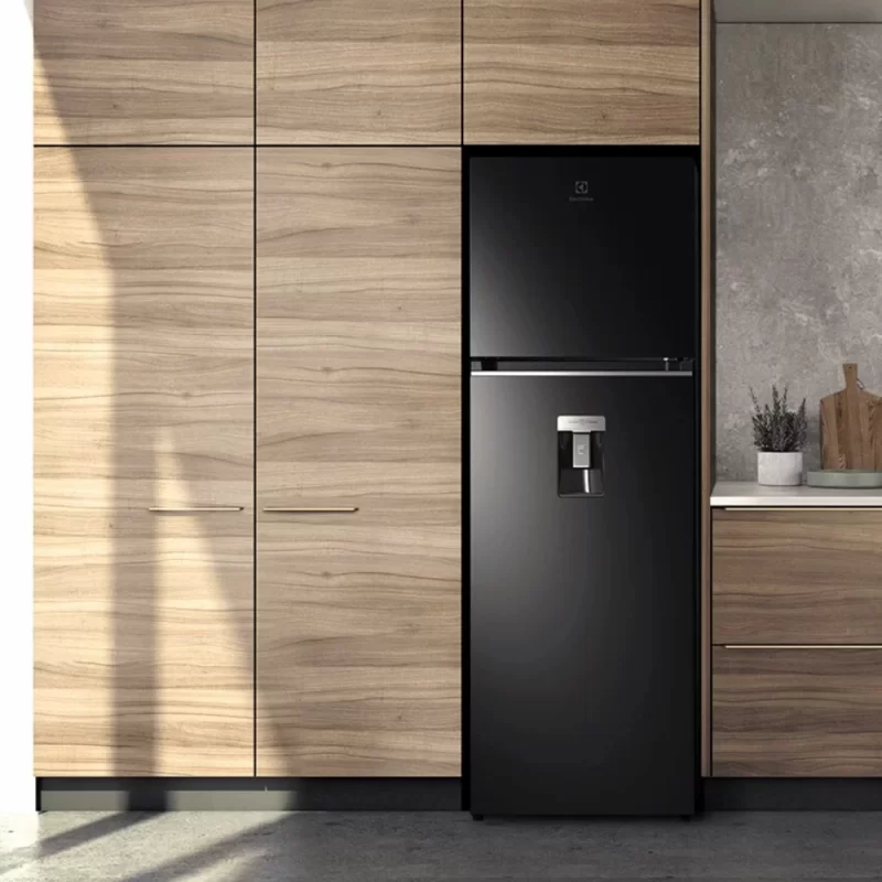 Tủ lạnh ELECTROLUX ETB3760K-H 10 Tủ lạnh ELECTROLUX ETB3760K-H