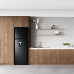 Tủ lạnh ELECTROLUX ETB3760M-H