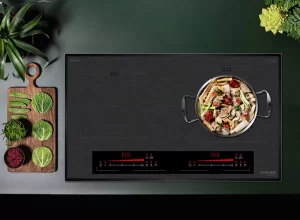 Bếp từ Kocher DI-339Pro - bep tu kocher di 339pro 1
