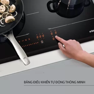 Bếp từ Kocher DI-866GE - bep tu kocher di 866ge 1