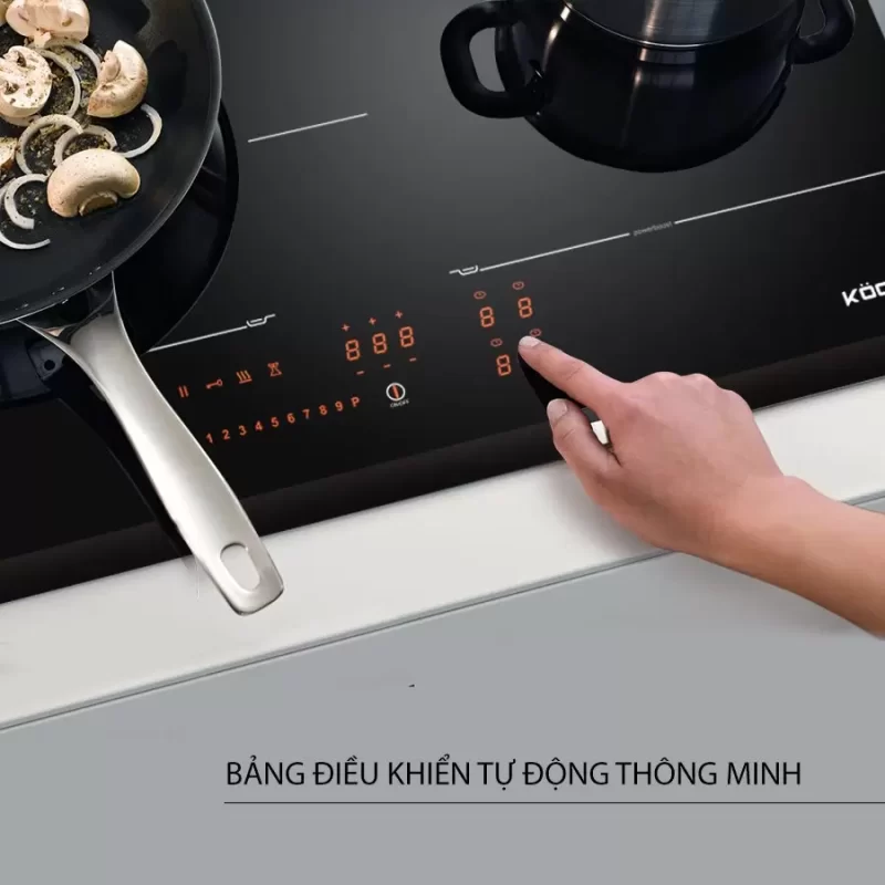 Bếp từ Kocher DI-866GE - bep tu kocher di 866ge 1