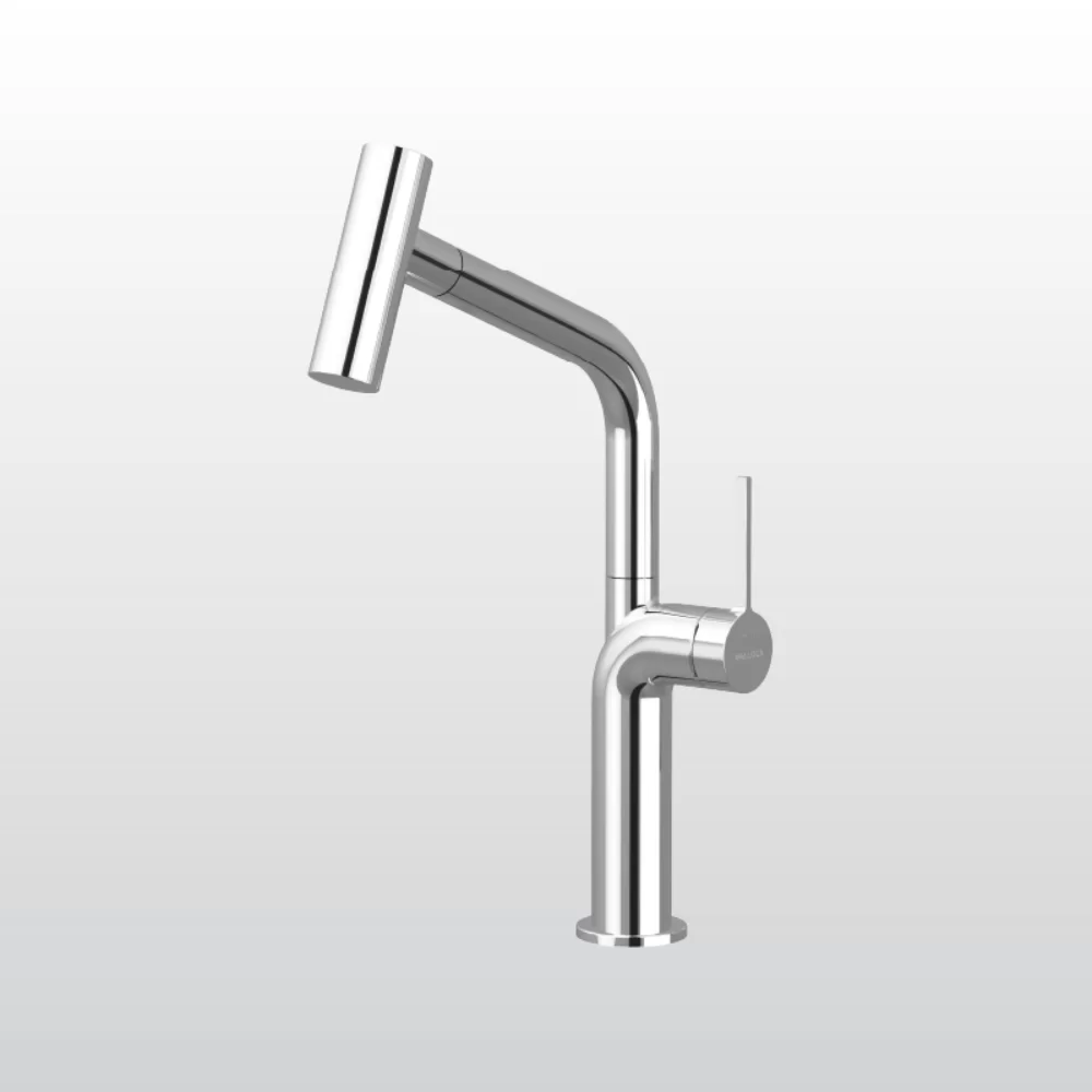 Vòi rửa chén Malloca K2206-CR