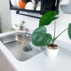 Chậu rửa bát SHIGERU IB-DK FS