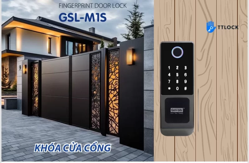 Khóa cửa cổng GIOVANI GSL-M1S 12 Khóa cửa cổng GIOVANI GSL-M1S