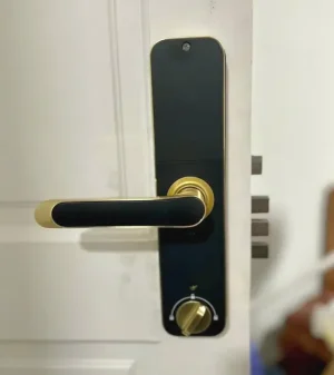 Khóa vân tay Kassler KL-668 GOLD APP, Remote tiêu chuẩn Đức - khoa van tay kassler kl 668 gold 1