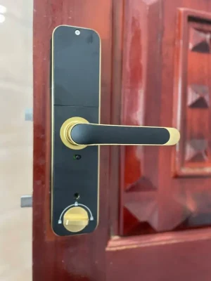 Khóa vân tay Kassler KL-668 GOLD APP, Remote tiêu chuẩn Đức - khoa van tay kassler kl 668 gold 3
