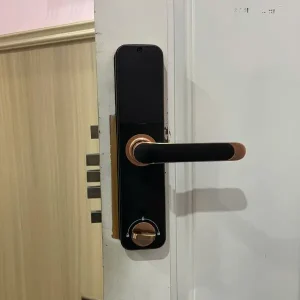 Khóa vân tay Kassler KL-668 RED BRONZE APP, Remote tiêu chuẩn Đức - khoa van tay kassler kl 668 red bronze 2