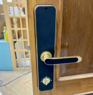 Khóa vân tay Kassler KL-696 GOLD APP, Remote tiêu chuẩn Đức - khoa van tay kassler kl 696 gold 3
