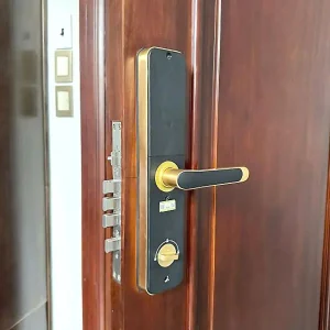 Khóa vân tay Kassler KL-696 GOLD APP, Remote tiêu chuẩn Đức - khoa van tay kassler kl 696 gold 4