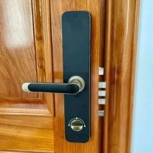 Khóa vân tay Kassler KL-696 GREEN BRONZE APP, Remote tiêu chuẩn Đức - khoa van tay kassler kl 696 green bronze 4